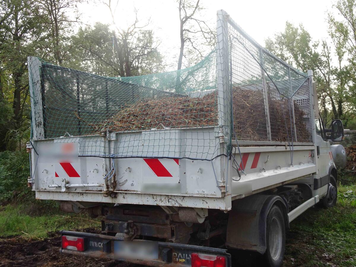 Mesh skip nets